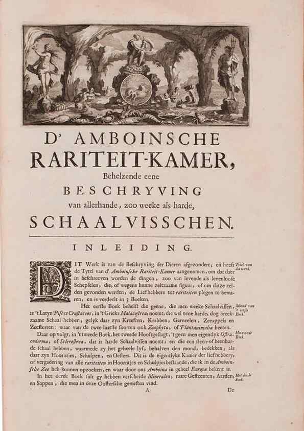 Reproducción/Reproduction 36696103010: D'Amboinsche Rariteitkamer ... :. T'Amsterdam :Gedrukt by François Halma,1705.