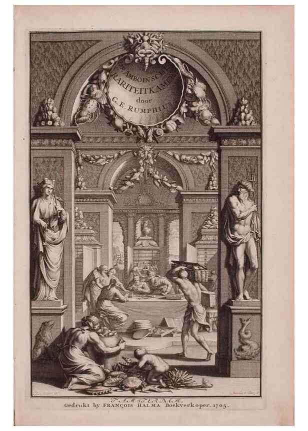 Reproducción/Reproduction 36696098490: D'Amboinsche Rariteitkamer ... :. T'Amsterdam :Gedrukt by François Halma,1705.