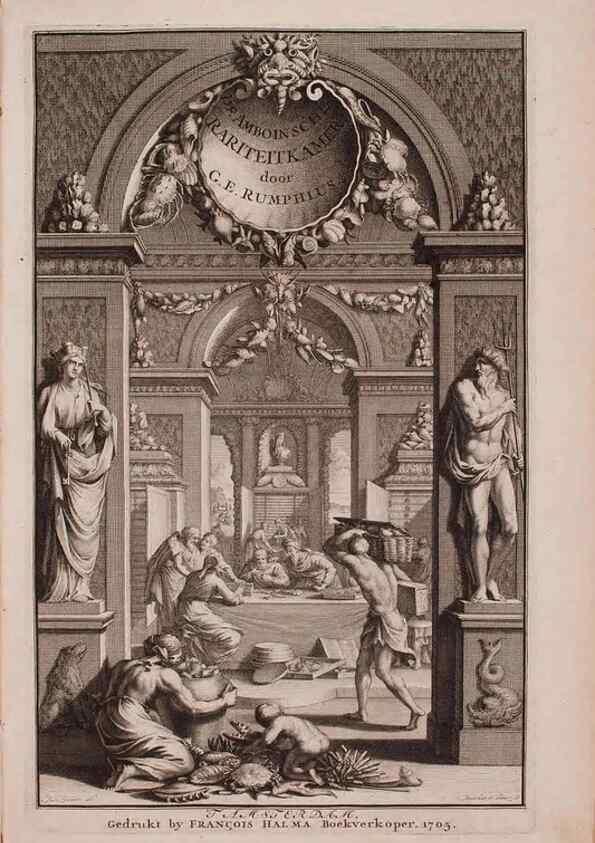 Reproducción/Reproduction 36696098490: D'Amboinsche Rariteitkamer ... :. T'Amsterdam :Gedrukt by François Halma,1705.