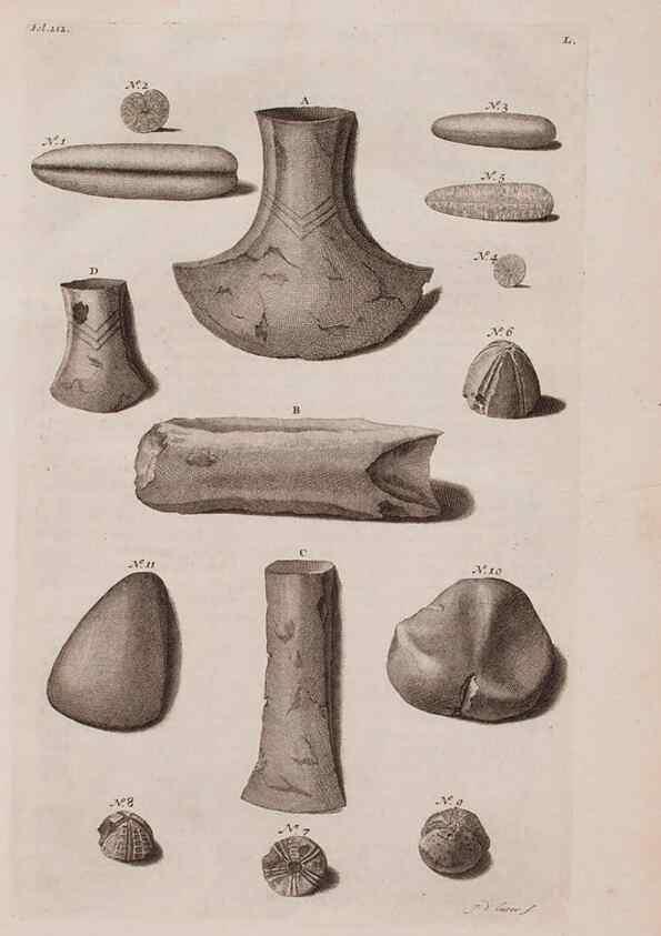 Reproducción/Reproduction 36922378092: D'Amboinsche Rariteitkamer ... :. T'Amsterdam :Gedrukt by François Halma,1705.