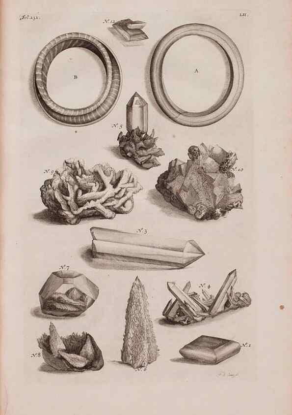 Reproducción/Reproduction 36922383772: D'Amboinsche Rariteitkamer ... :. T'Amsterdam :Gedrukt by François Halma,1705.