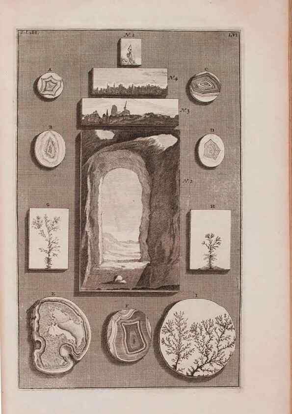 Reproducción/Reproduction 36696212920: D'Amboinsche Rariteitkamer ... :. T'Amsterdam :Gedrukt by François Halma,1705.