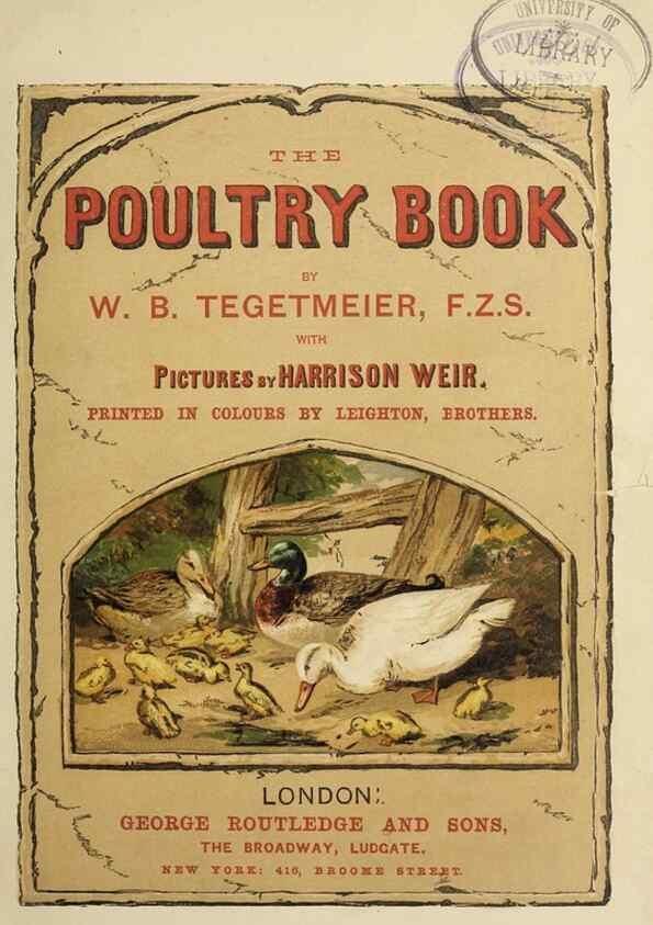 Reproducción/Reproduction 37089386455: The poultry book :. London ;G. Routledge,1867.