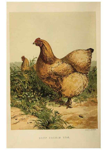 Reproducción/Reproduction 37089401305: The poultry book :. London ;G. Routledge,1867.