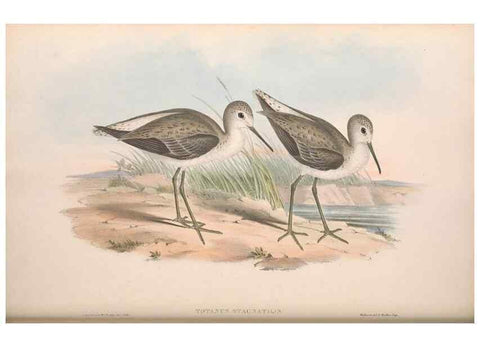 Reproducción/Reproduction 36781556052: The birds of Australia.. London,Printed by R. and J. E. Taylor; pub. by the author,[1840]-48.