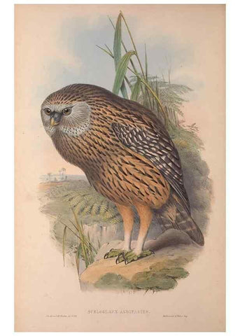 Reproducción/Reproduction 36203500513: The birds of Australia, supplement /. London :Printed by Taylor and Francis ... published by the author ...,[1851]-1869.