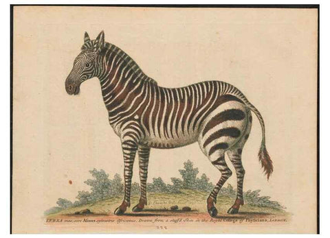 Reproducción/Reproduction 37819687595: Gleanings of natural history, exhibiting figures of quadrupeds, birds, insects, plants &c.... London :Printed for author at the Royal Collage of Physicians,1758-1764.. 