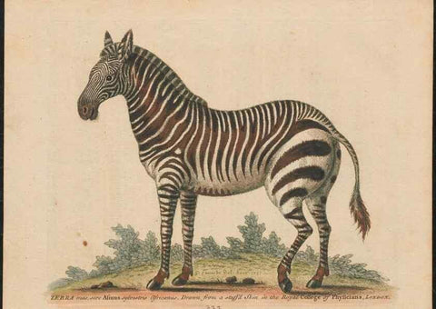 Reproducción/Reproduction 37819687595: Gleanings of natural history, exhibiting figures of quadrupeds, birds, insects, plants &c.... London :Printed for author at the Royal Collage of Physicians,1758-1764.. 