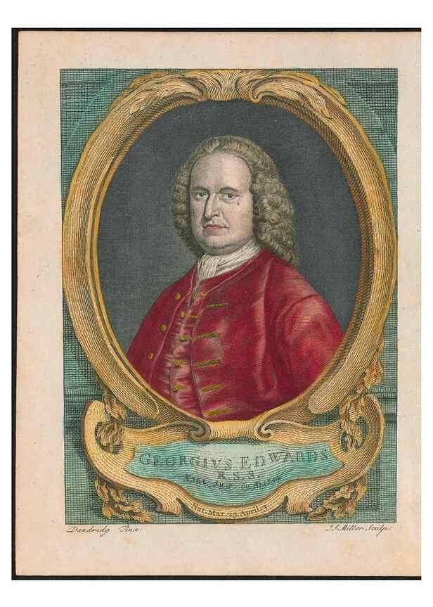 Reproducción/Reproduction 26931338539: Gleanings of natural history, exhibiting figures of quadrupeds, birds, insects, plants &c.... London :Printed for author at the Royal Collage of Physicians,1758-1764.. 