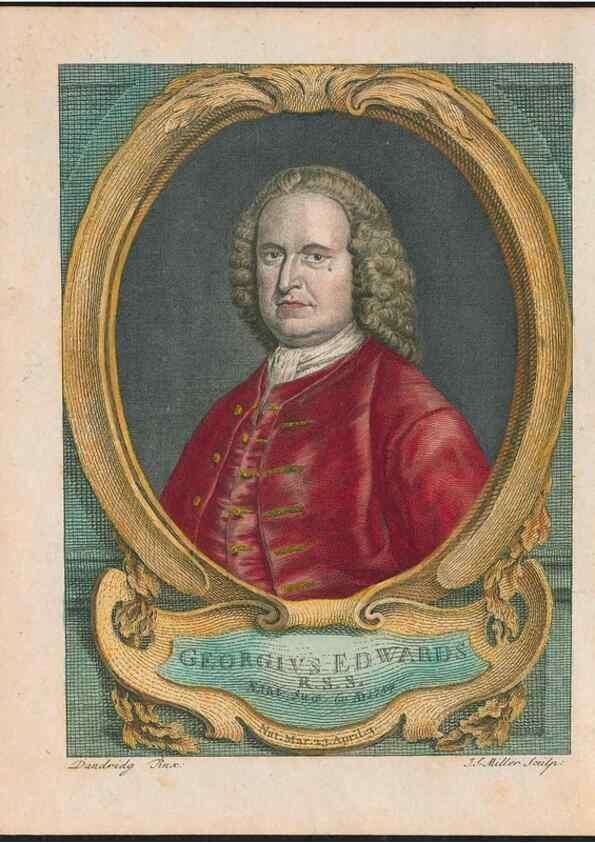 Reproducción/Reproduction 26931338539: Gleanings of natural history, exhibiting figures of quadrupeds, birds, insects, plants &c.... London :Printed for author at the Royal Collage of Physicians,1758-1764.. 
