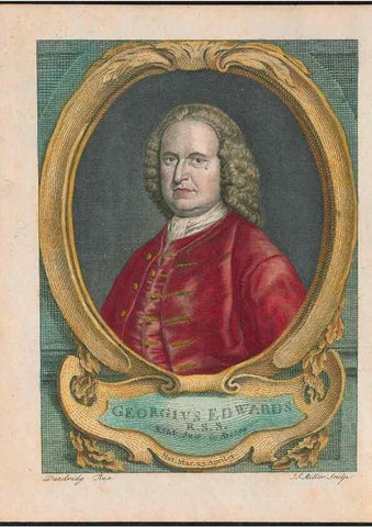 Reproducción/Reproduction 26931338539: Gleanings of natural history, exhibiting figures of quadrupeds, birds, insects, plants &c.... London :Printed for author at the Royal Collage of Physicians,1758-1764.. 