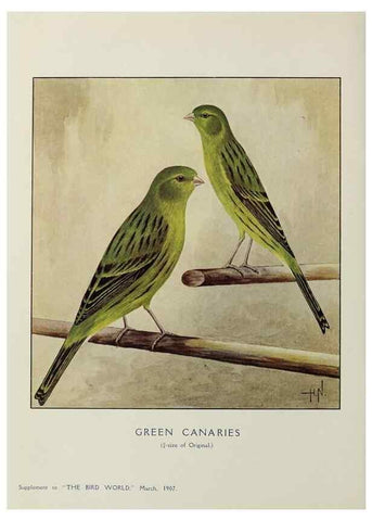 Reproducción/Reproduction 26496379839: Bird world magazine.. London.. 
