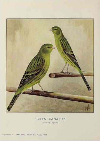 Reproducción/Reproduction 26496379839: Bird world magazine.. London.. 