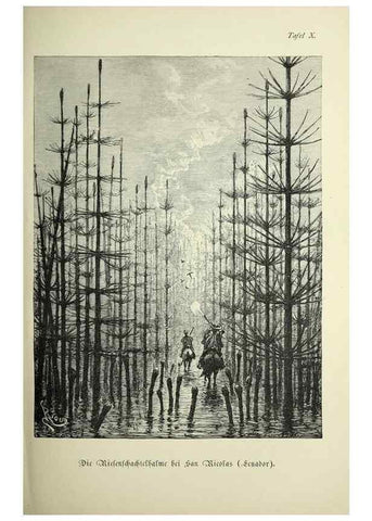 Reproducción/Reproduction 37184031636: Werden und vergehen.. Berlin :Gebrüder Borntraeger,1886.