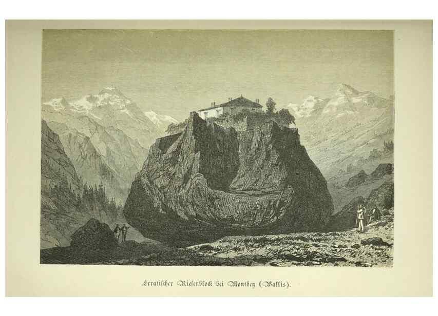 Reproducción/Reproduction 37231089341: Werden und vergehen.. Berlin :Gebrüder Borntraeger,1886.