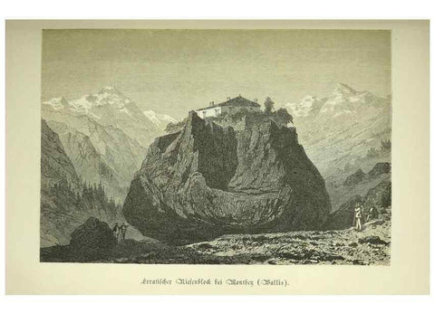 Reproducción/Reproduction 37231089341: Werden und vergehen.. Berlin :Gebrüder Borntraeger,1886.