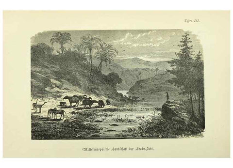 Reproducción/Reproduction 36976139890: Werden und vergehen.. Berlin :Gebrüder Borntraeger,1886.