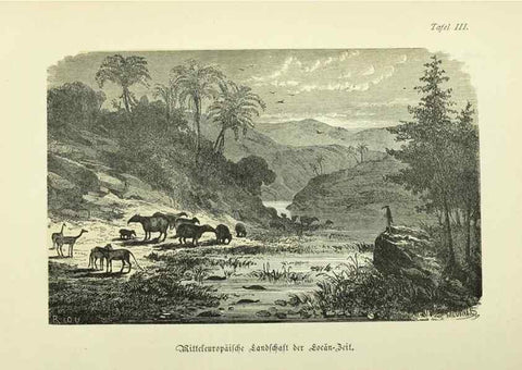 Reproducción/Reproduction 36976139890: Werden und vergehen.. Berlin :Gebrüder Borntraeger,1886.