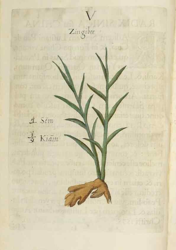 Reproducción/Reproduction 37020344526: Flora sinensis,. Viennae, Austriae,Typis M. Rictij,1656.