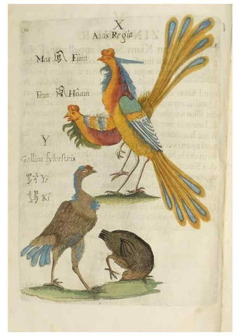 Reproducción/Reproduction 37020345016: Flora sinensis,. Viennae, Austriae,Typis M. Rictij,1656.