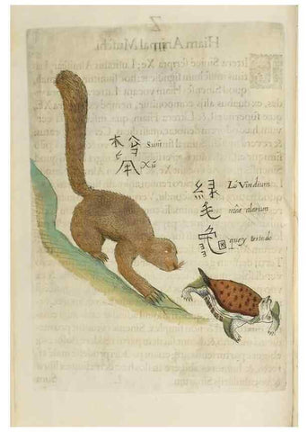 Reproducción/Reproduction 37020345996: Flora sinensis,. Viennae, Austriae,Typis M. Rictij,1656.