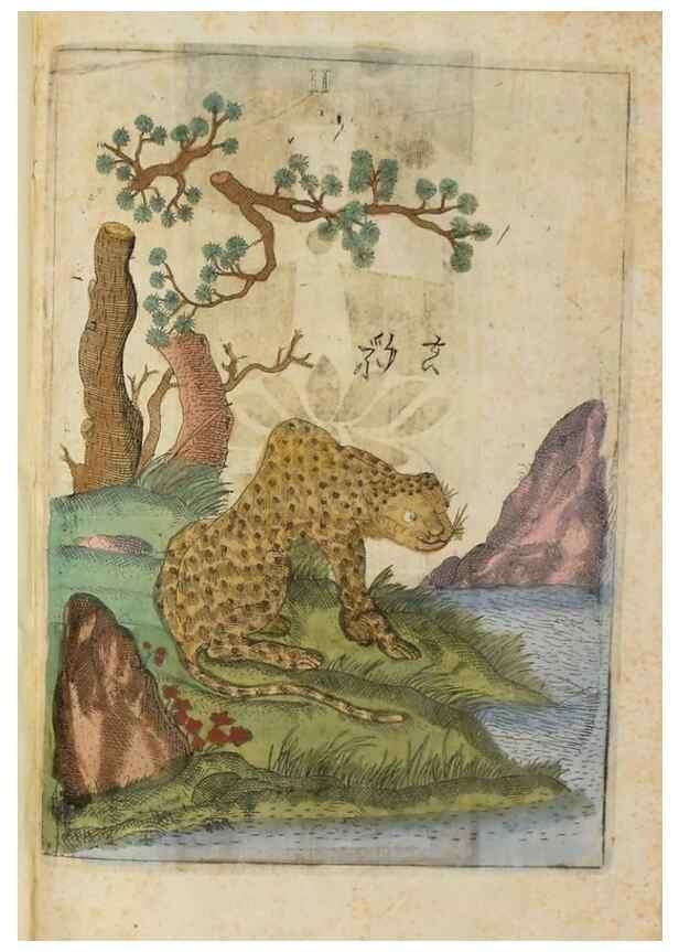 Reproducción/Reproduction 37020347326: Flora sinensis,. Viennae, Austriae,Typis M. Rictij,1656.