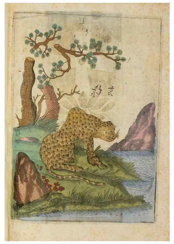 Reproducción/Reproduction 37020347326: Flora sinensis,. Viennae, Austriae,Typis M. Rictij,1656.