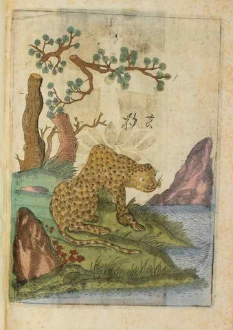 Reproducción/Reproduction 37020347326: Flora sinensis,. Viennae, Austriae,Typis M. Rictij,1656.