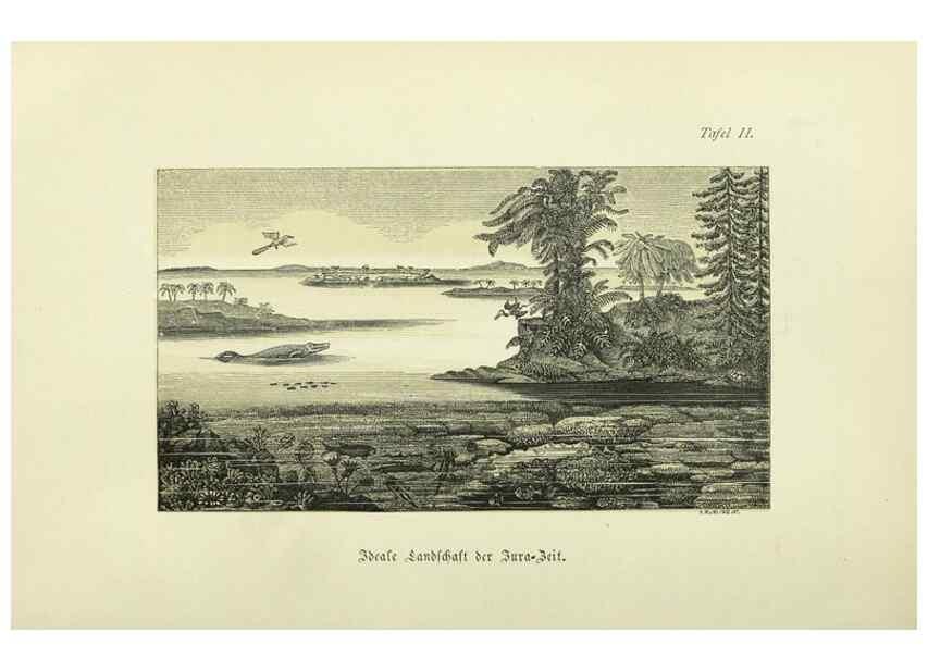 Reproducción/Reproduction 36976138120: Werden und vergehen.. Berlin :Gebrüder Borntraeger,1886.