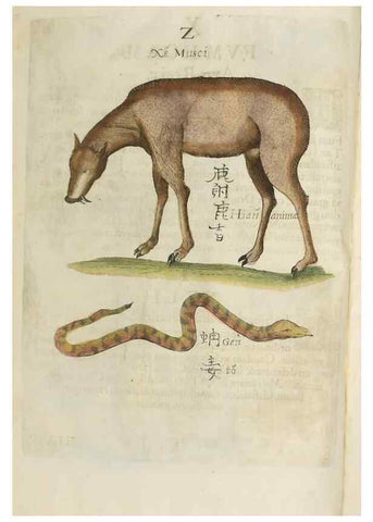 Reproducción/Reproduction 37020345406: Flora sinensis,. Viennae, Austriae,Typis M. Rictij,1656.