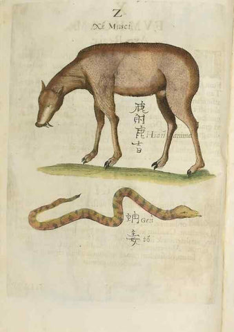 Reproducción/Reproduction 37020345406: Flora sinensis,. Viennae, Austriae,Typis M. Rictij,1656.