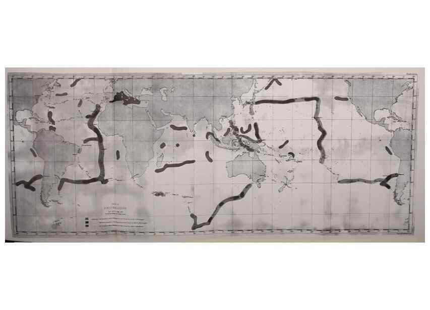 Reproducción/Reproduction 37096712685: Report on the scientific results of the voyage of H.M.S. Challenger during the years 1873-76 under the command of Captain George S. Nares .... Edinburgh :Neill,1880-1895.