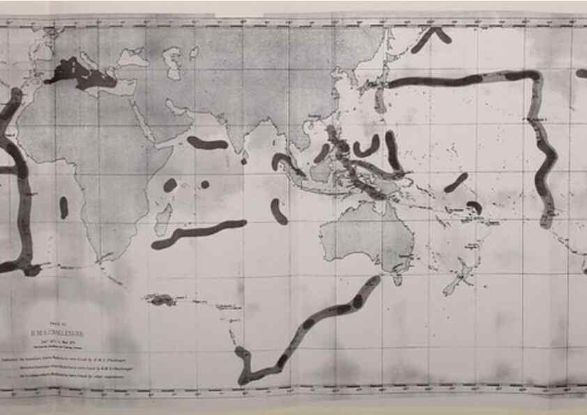Reproducción/Reproduction 37096712685: Report on the scientific results of the voyage of H.M.S. Challenger during the years 1873-76 under the command of Captain George S. Nares .... Edinburgh :Neill,1880-1895.
