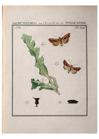 Reproducción/Reproduction 36912824124: Beschouwing der wonderen Gods :. Amsterdam :J.C. Sepp,[1762-1860]. 