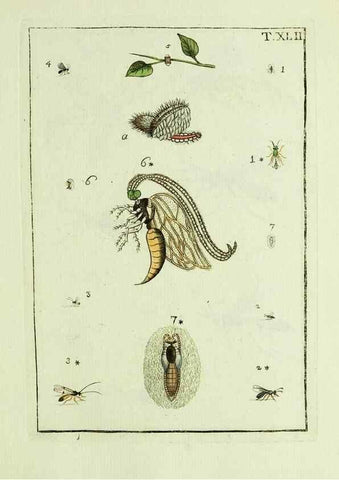 Reproducción/Reproduction 37570436396: Naturgeschichte, Klassification und Nomenclatur der Insekten vom Bienen, Wespen und Ameisengeschlecht :. Frankfurt am Main :in der Hermannischen Buchhandlung,1791.. 