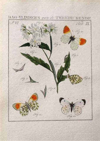 Reproducción/Reproduction 37574684436: Beschouwing der wonderen Gods :. Amsterdam :J.C. Sepp,[1762-1860]. 