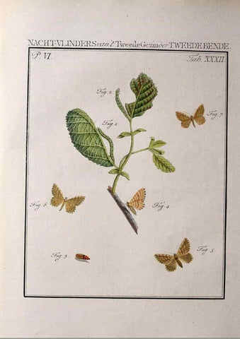 Reproducción/Reproduction 37623459291: Beschouwing der wonderen Gods :. Amsterdam :J.C. Sepp,[1762-1860]. 