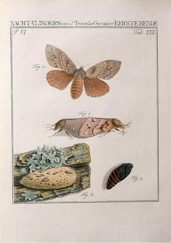 Reproducción/Reproduction 37574712686: Beschouwing der wonderen Gods :. Amsterdam :J.C. Sepp,[1762-1860]. 