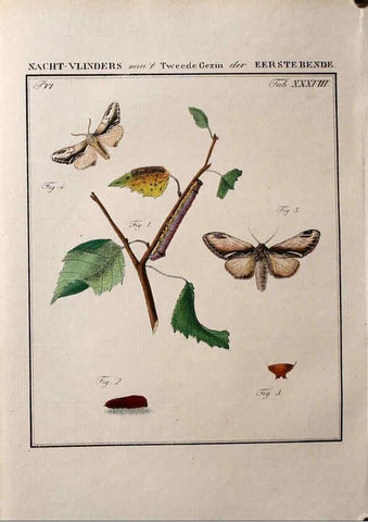 Reproducción/Reproduction 36912796984: Beschouwing der wonderen Gods :. Amsterdam :J.C. Sepp,[1762-1860]. 