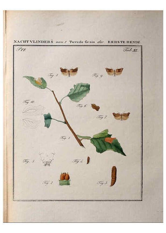 Reproducción/Reproduction 36912801314: Beschouwing der wonderen Gods :. Amsterdam :J.C. Sepp,[1762-1860]. 