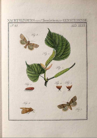 Reproducción/Reproduction 36912817164: Beschouwing der wonderen Gods :. Amsterdam :J.C. Sepp,[1762-1860]. 