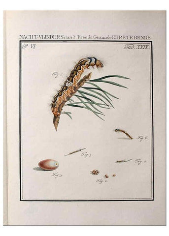 Reproducción/Reproduction 37574711496: Beschouwing der wonderen Gods :. Amsterdam :J.C. Sepp,[1762-1860]. 