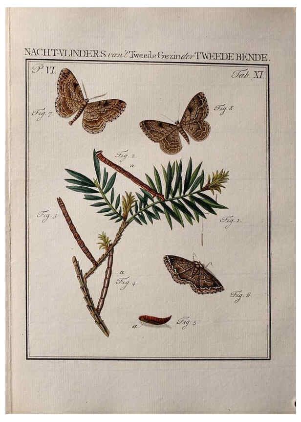 Reproducción/Reproduction 36952521203: Beschouwing der wonderen Gods :. Amsterdam :J.C. Sepp,[1762-1860]. 