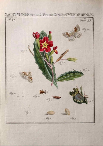 Reproducción/Reproduction 36912773964: Beschouwing der wonderen Gods :. Amsterdam :J.C. Sepp,[1762-1860]. 