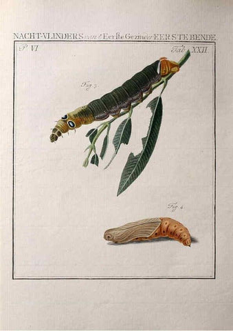 Reproducción/Reproduction 36912776794: Beschouwing der wonderen Gods :. Amsterdam :J.C. Sepp,[1762-1860]. 