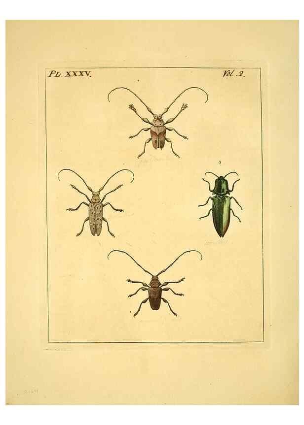 Reproducción/Reproduction 36204929122: Illustrations of natural history.. London,Printed for the author and sold by B. White,1770-82.