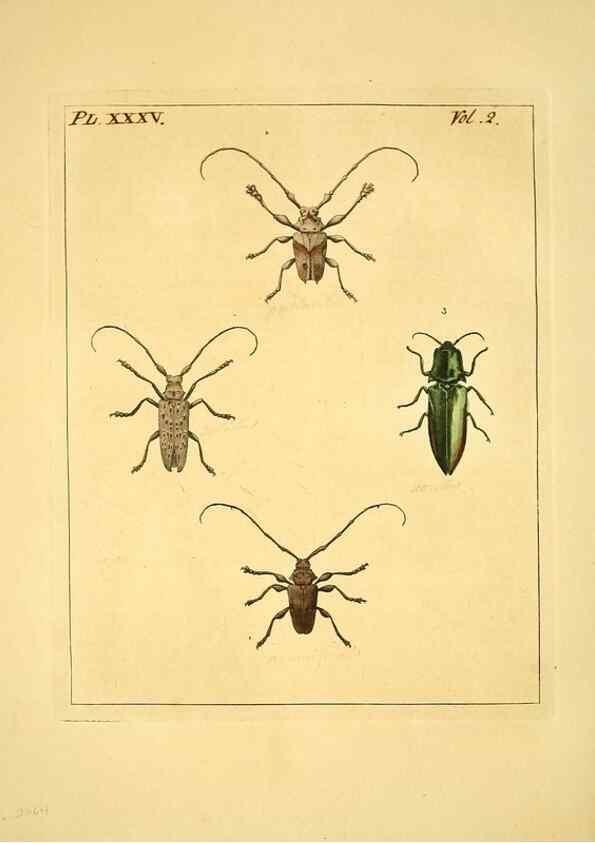 Reproducción/Reproduction 36204929122: Illustrations of natural history.. London,Printed for the author and sold by B. White,1770-82.