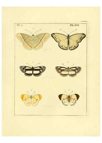 Reproducción/Reproduction 35537316294: Illustrations of natural history.. London,Printed for the author and sold by B. White,1770-82.