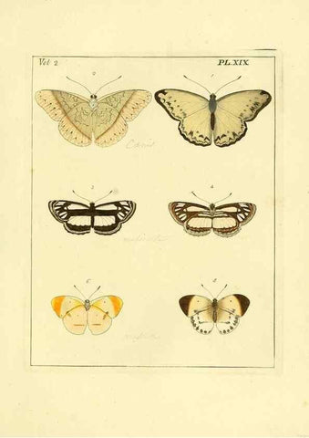Reproducción/Reproduction 35537316294: Illustrations of natural history.. London,Printed for the author and sold by B. White,1770-82.