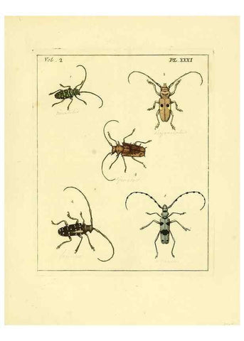 Reproducción/Reproduction 35564812993: Illustrations of natural history.. London,Printed for the author and sold by B. White,1770-82.